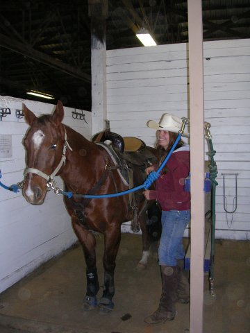 Maggie & Katie in gromming stall